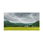Trademark Fine Art Brenda Petrella Photography LLC의 Local Farm 캔버스 아트