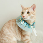 추석 설날 강아지 고양이 한복케이프 머리핀 춘향핑크