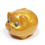 황금돼지저금통 대 황금돼지해 복돼지 저금함 동전함