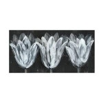 Trademark Fine Art 트리오 on I 캔버스 아트 by Jennifer Goldberger