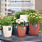 고강도 플라스틱 화분 키큰 미분 8호