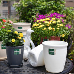 고강도 플라스틱 화분 키큰 미분 8호