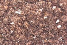 깨비농장 깨비상토 블루베리 전용 유기농 상토 50L 유기농 피트모스 최고급 펄라이트 혼합 제품