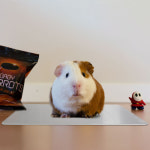 강아지매트 쿨 알루미늄 애완동물 패드 L