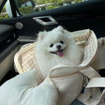 에코펫위드 에코펫위드 강아지 슬링백 이동가방 크로스끈 세트