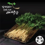 함 천지 승현이네 새싹삼 소 70뿌리 1개