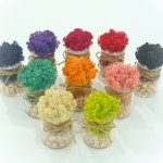 공기정화식물 미니 큐브 편백 유리 화병 모스 8