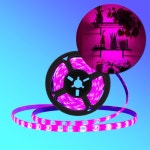 실내 태양광 물멍어항 식물 광합성 LED 램프 5M 어항용품 수중식물 실내led등 led등 N2986