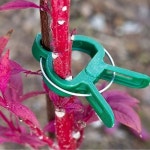 원예 지지대 오이 토마토 식물 고정집게 작물 20개입 소 20개입