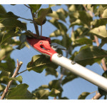 과일나무 수확 가지치기 고지가위 S280