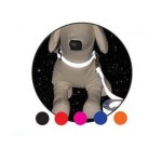 리플렉스 반사 목줄 리드줄 강아지목줄 리드줄