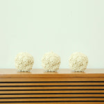 네네린도 집사픽 상쾌한 두부모래 3.2kg