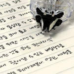 일정문구 심플라이프2컬러수정테이프 미색 종이 용지 크림색 노란종이 오타 티안나는 학용품