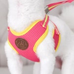 강아지 여름 하네스 리드줄 세트 S 1P 에어매쉬