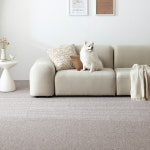 세븐펫 강아지 미끄럼방지 도톰매트 그란데 50x50cm 1P