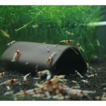 어항장식 수족관 새우 프리즘 은신처