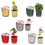 저면관수화분 식물기르기 올인원 화분 세트