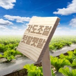 각도조절 텃밭팻말 중 각인 주말농장 팻말 나무 문패 텃밭이름표 수목 표찰 우드간판 푯말 안내표지
