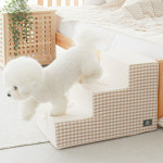 데일리 체크 스텝 3단 계단 도그포즈 강아지