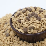 더텐오븐베이크 올인원 알러지케어 체중조절