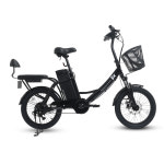 AU테크 AU테크 스카닉 5X 전기자전거 5Ah