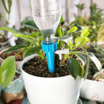 화분 자동 급수기