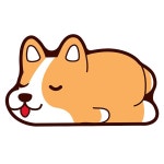 강아지 소프트 규조토 발매트 욕실매트