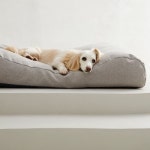 펫토 애견 방석 알러지 걱정 없는 강아지 고양이 방석 곡선형 슈퍼라지 x