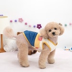 패리스독 베베 벨로아