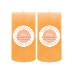 홈닥터 기능성 캔들 담배냄새 화장실냄새 570g 2개