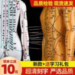 혈자리 인형 한의학 모형 교육 인체 한방 연습 전신 근골격