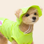 펫파파 솔리드 쿨캡 강아지모자 썬캡 네온오렌지 네온오렌지 1개