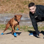 티세이브 강아지일회용신발 염화칼슘 겨울신발 댕댕슈즈 방수장화 대형견 포우즈애견신발 연두