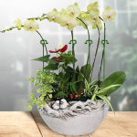 5 10 20PCS 식물 지원 스탠드 나비 난초 꽃 화분 고정 막대 재사용 가능한 홀더 극 잎 보호 프레임