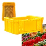 플라스틱 운반 상자 농산물 바구니 사각 과일 6호 2개