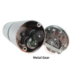 대형 토크 감소 오븐 연소 엔진 12V 24V 기어 5R 12V Without bra et 13 ZGB37RH RS555