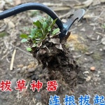 도구 휴대용 강청 원예 제초호미 소형 뿌리 망간 잡초