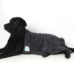 초코펫하우스 몬스터 펫타올 다크그레이 중형