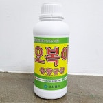 오복이 1L
