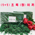 샤인몰 1 1 초록이끼 인조이끼 대용량 약650 2개 화분이끼 인테리어 소품 실내조경