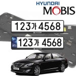 그랜저TG 현대모비스 번호판가드 순정용 가드