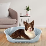 퍼 플러스트 시에스타 SIESTA DX 10 개 고양이 씻을 수 베팅 침대 플라스틱 하우스 다크