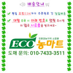 나라원 농마트 미역귀아미노88 유기농 아미노산 영양제 10L 해조추출물 액비C 1개
