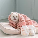 뽀숑 개끗한 세탁세제 650g 강아지 고양이 전용 세탁세제