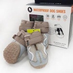 트루러브 신발 - 3호 TLS3962