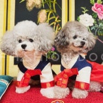 강아지 최진사댁 한복 치마 1P 애견 명절 한가위