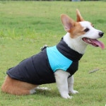 강아지패딩 하네스조끼 중형견 대형견