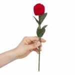 프로포즈 사랑고백 반지케이스 장미반지함