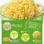 가정용 새싹 재배기 콩나물 식물 채소 키우기 자동