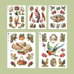 버드 컷팅 데코 꾸미기 투명스티커 종이 스티커